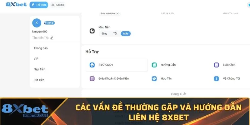 Các vấn đề thường gặp và hướng dẫn liên hệ 8XBet