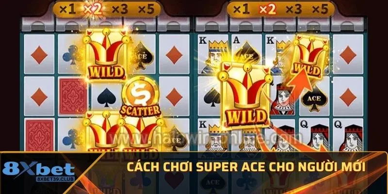 Cách chơi Super ACE cho người mới