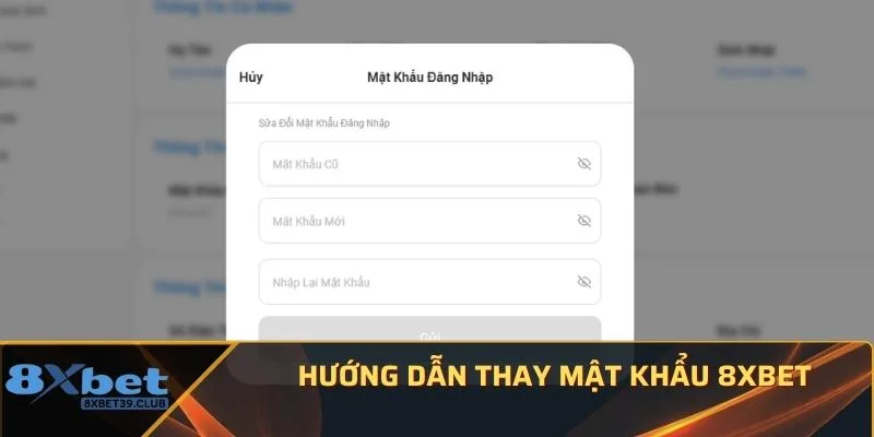 Hướng dẫn thay mật khẩu 8Xbet