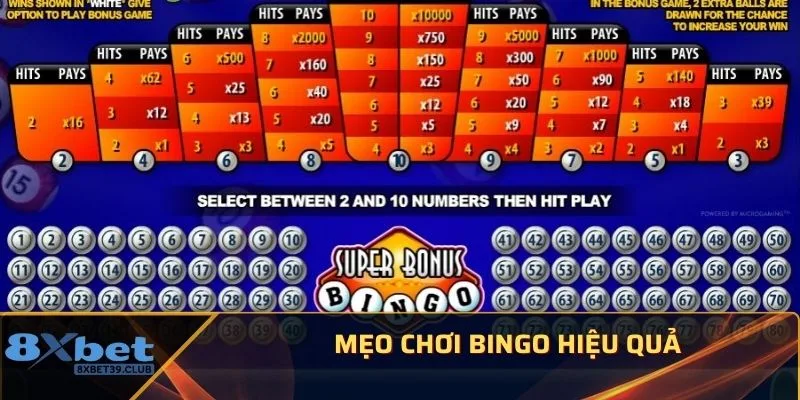 Mẹo chơi Bingo hiệu quả