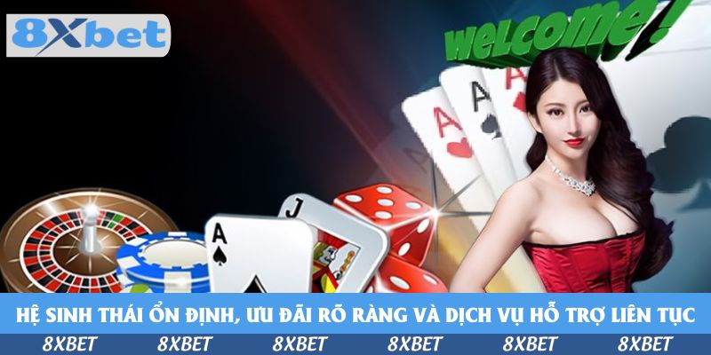 Hệ sinh thái ổn định, ưu đãi rõ ràng và dịch vụ hỗ trợ liên tục