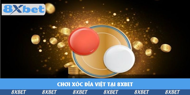 Chơi Xóc Đĩa Việt Tại 8xbet – Đỉnh Cao Của Cá Cược