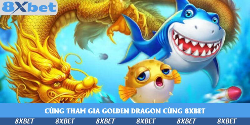 Cùng Tham Gia Golden Dragon Cùng 8xbet – Trải Nghiệm Khó Quên