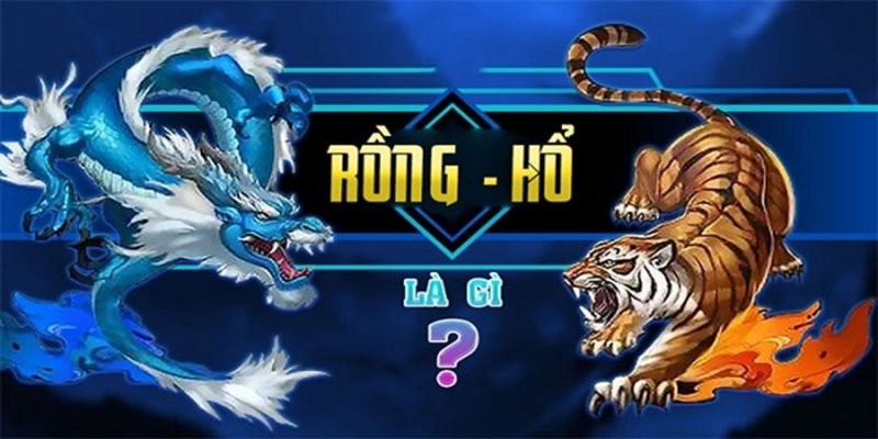 Rồng Hổ 8Xbet – Mách Bạn Kinh Nghiệm Cược Đâu Thắng Đó